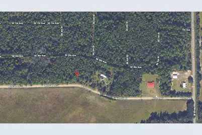 132 Millican Road, Palatka, FL 32177 - Photo 3