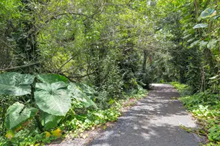 1008 Green Pine Blvd, West Palm Beach, FL 33409 - Photo 17
