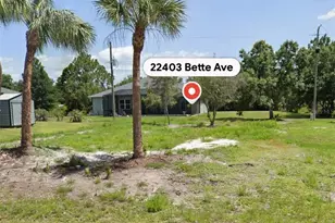 22403 Bette Ave, Port Charlotte, FL 33954 - Photo 1