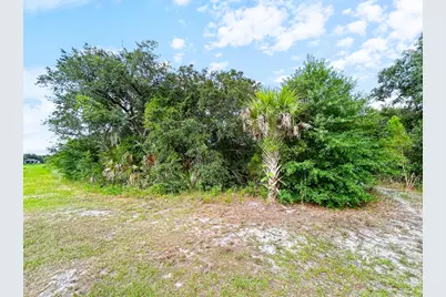 Ancient Ancient, North Port, FL 34286 - Photo 15