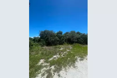 2530 N Todd Road, Avon Park, FL 33825 - Photo 3