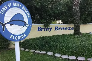 206 Eagle Dr E, Briny Breezes, FL 33435 - Photo 13
