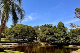 1914 Bayshore Ct, Safety Harbor, FL 34695 - Photo 21