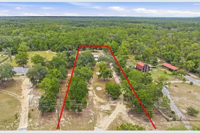 194 Keuka Road, Interlachen, FL 32148 - Photo 19