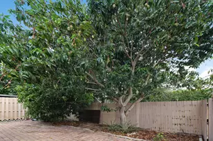 23 Chelsea Ln, Boynton Beach, FL 33426 - Photo 23
