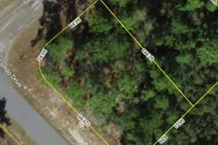 9239 N Marcus Way, Citrus Springs, FL 34433 - Photo 1