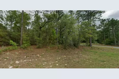 9239 N Marcus Way, Citrus Springs, FL 34433 - Photo 5