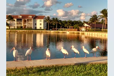 4436 NE Ocean Boulevard #E2, Hutchinson Island, FL 34957 - Photo 17