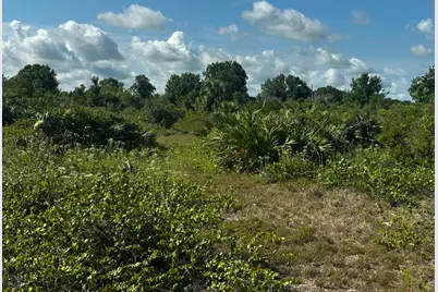 15138 NW 262nd Street, Okeechobee, FL 34972 - Photo 5