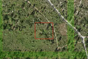 0 Holopaw Groves Rd, Saint Cloud, FL 34772 - Photo 1