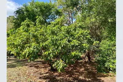 12216 184th Court N, Jupiter, FL 33478 - Photo 45