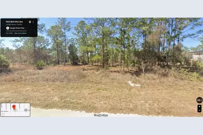 1303 McArthur Avenue, Lehigh Acres, FL 33972 - Photo 1