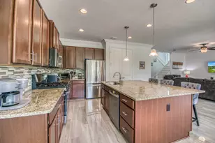 889 Wandering Willow Wy, Loxahatchee, FL 33470 - Photo 9