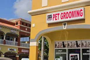 6676 Stirling Rd, Hollywood, FL - Photo 1