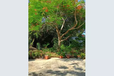 831 N Forest Hill Boulevard, West Palm Beach, FL 33405 - Photo 3