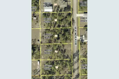 2219 Jackson Avenue, Alva, FL 33920 - Photo 3