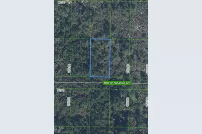2330 Bird Of Paradise Avenue, Sebring, FL 33875 - Photo 1