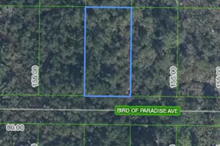 2330 Bird Of Paradise Ave, Sebring, FL 33875 - Photo 1