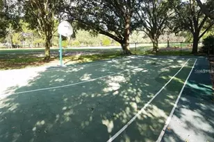3913 Northampton Way, Tampa, FL 33618 - Photo 3