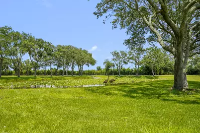 16451 Norris Road, Wellington, FL 33470 - Photo 69