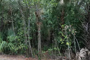 1802 Old River Rd, Fort Pierce, FL 34982 - Photo 1