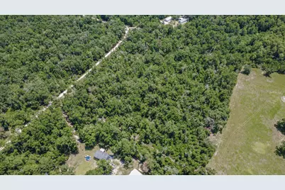 6600 150th Place, Wellborn, FL 32094 - Photo 7