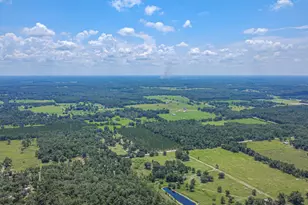 6600 150th Pl, Wellborn, FL 32094 - Photo 1