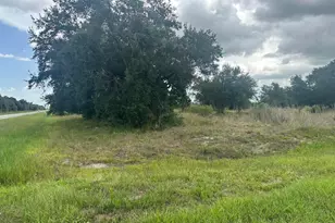 0 NW 313th Street NW, Okeechobee, FL 34972 - Photo 1