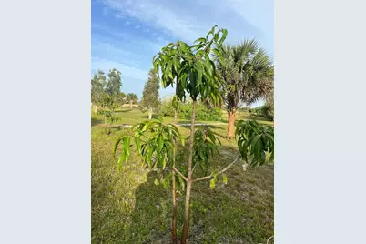 15148 NW 288th Street, Okeechobee, FL 34972 - Photo 37