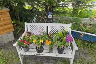 1903 Robalo Dr, Vero Beach, FL 32960 - Photo 35
