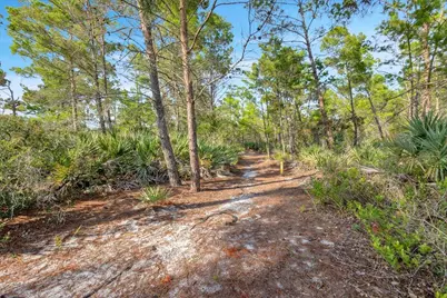 7714 SE Mammoth Drive SE, Hobe Sound, FL 33455 - Photo 61