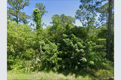 111 Suwannee Lane, Lake Placid, FL 33852 - Photo 1