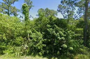 111 Suwannee Ln, Lake Placid, FL 33852 - Photo 1