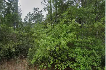 107 Glenside Street, Georgetown, FL 32139 - Photo 1