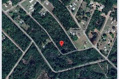 000 Roebuck Street, Georgetown, FL 32139 - Photo 3