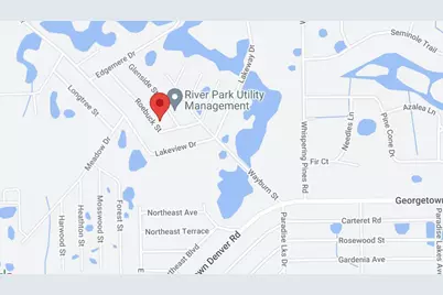 124 Roebuck Street, Georgetown, FL 32139 - Photo 5