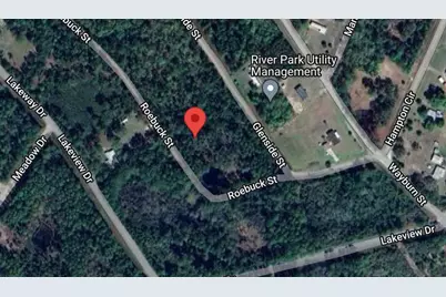 126 Roebuck Street, Georgetown, FL 32139 - Photo 1