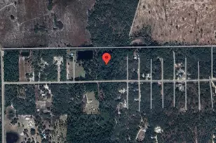 138 Pine Tree Dr, Palatka, FL 32177 - Photo 1