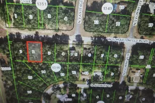 1248 W G Martinelli Blvd, Citrus Springs, FL 34434 - Photo 1