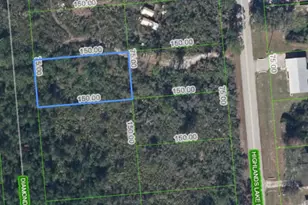 651 McKinley St, Lake Placid, FL 33852 - Photo 1