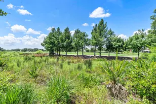 10282 Emerson St, Parkland, FL 33076 - Photo 43