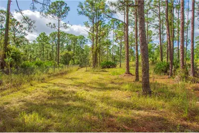 13955 87th Street, Fellsmere, FL 32948 - Photo 23