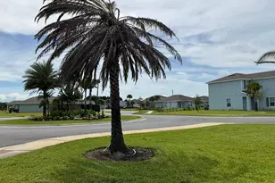 456 Cherimoya St, Fort Pierce, FL 34981 - Photo 69