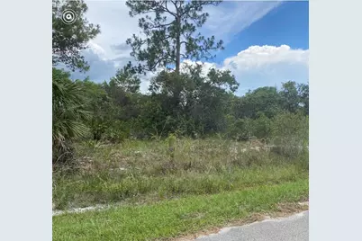 1010 Archie Summers Road, Lake Placid, FL 33852 - Photo 1