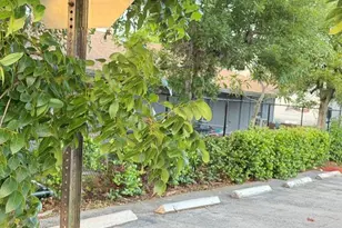 714 S H St, Lake Worth, FL 33460 - Photo 53