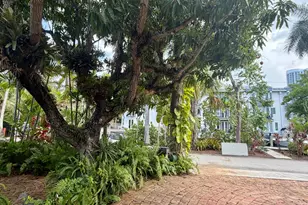 1101 SE 2nd St, Fort Lauderdale, FL 33301 - Photo 25