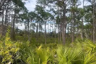 12144 Judson Ave, Port Charlotte, FL 33953 - Photo 1