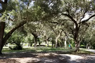 9441 Evergreen Pl, Davie, FL 33324 - Photo 43