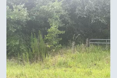 16687 NW 38th Avenue, Okeechobee, FL 34972 - Photo 5