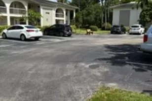 2708 Nassau Bend, Coconut Creek, FL 33066 - Photo 21